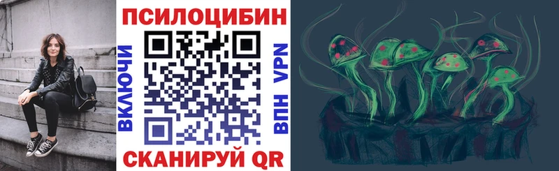 Галлюциногенные грибы Psilocybe Боготол